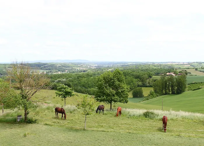 Au Bon Endroit * Genebrieres