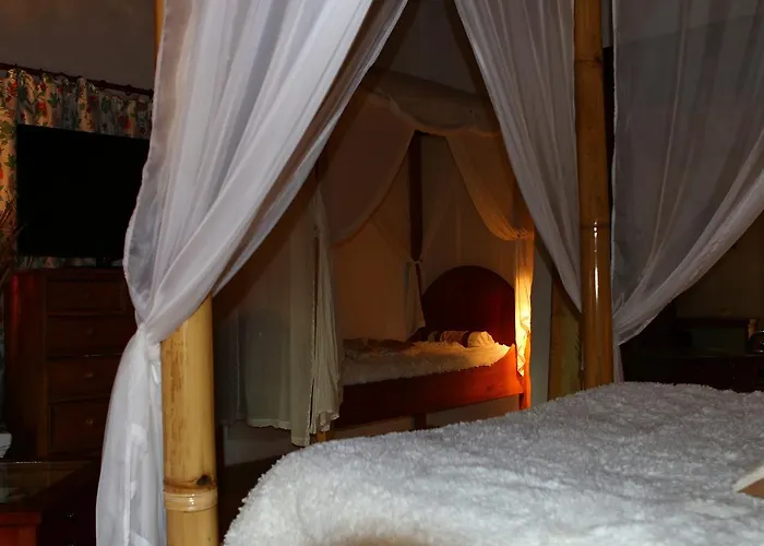 Au Bon Endroit * Genebrieres